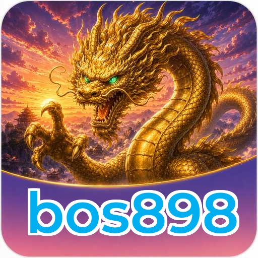 Overview bos898