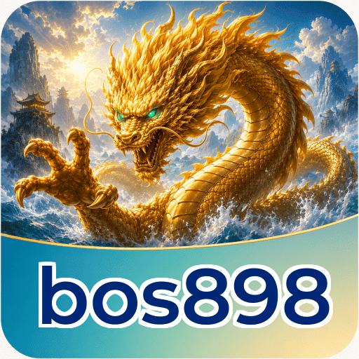 Privacy & Security bos898
