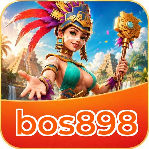 Developer Info bos898