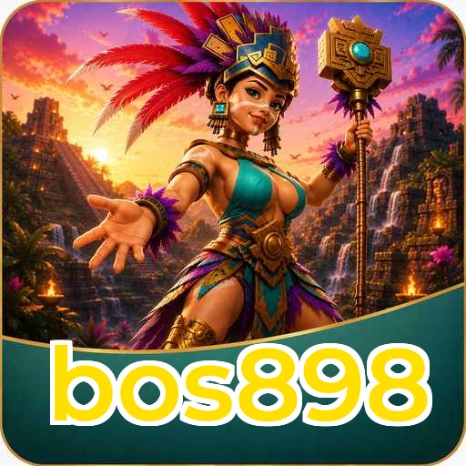 Version History bos898